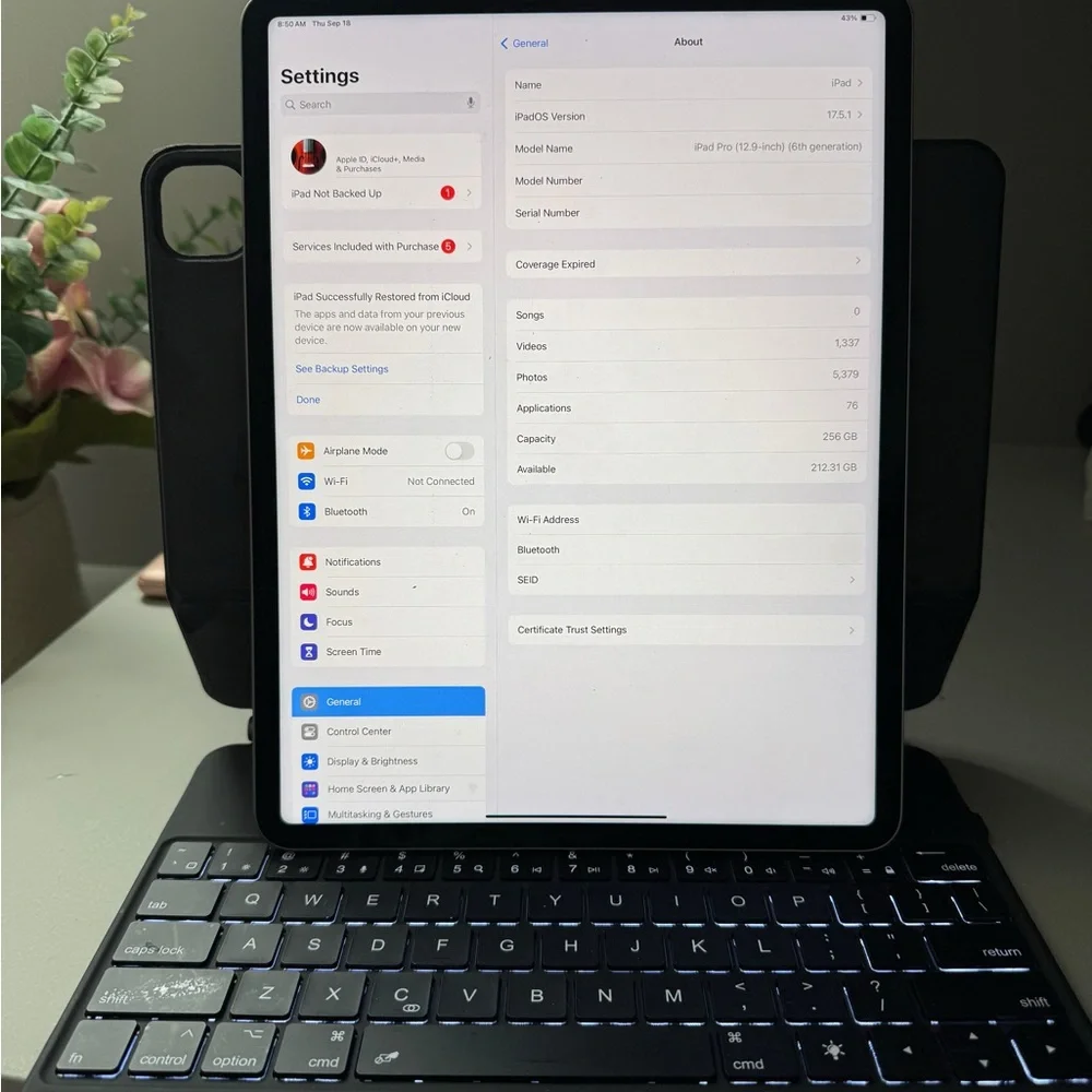 Apple iPad Pro in Silver with Black Keyboard